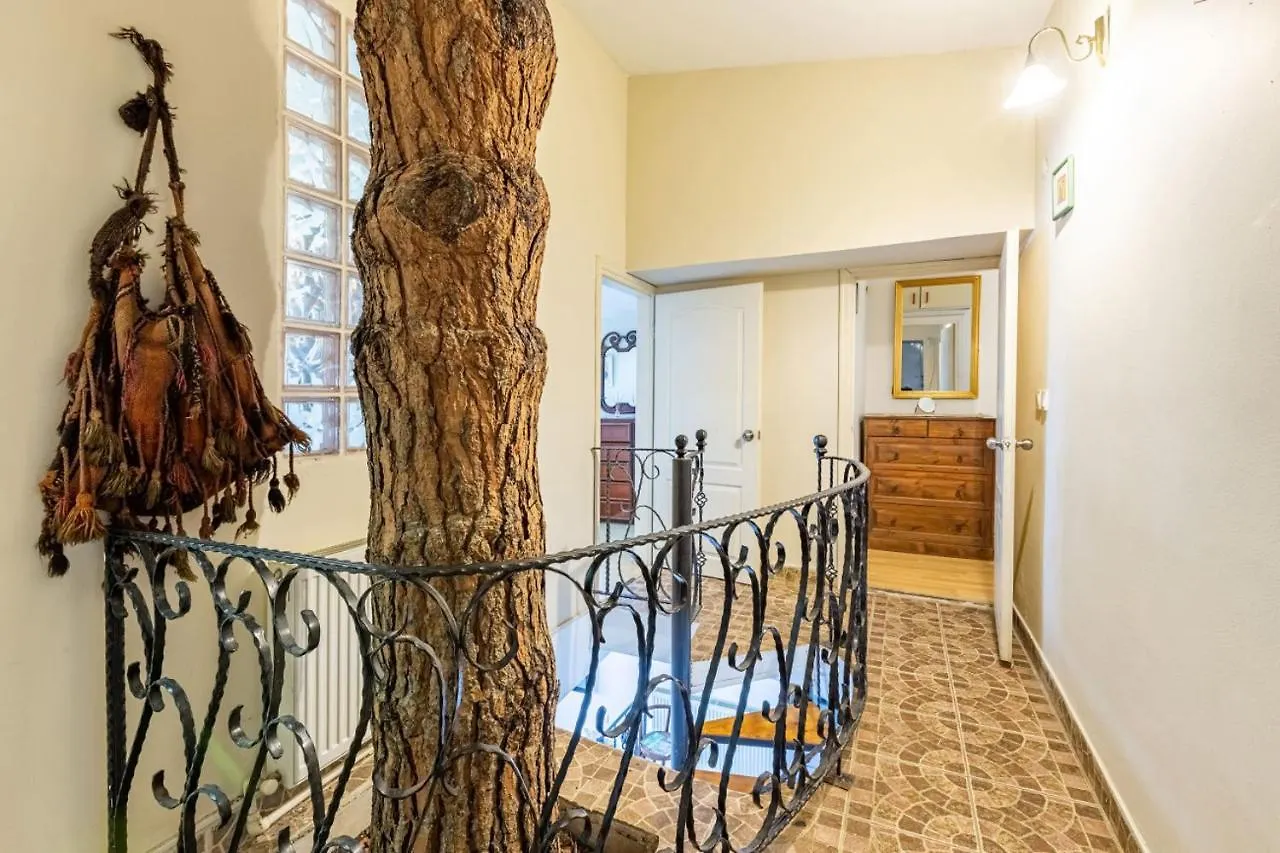 Willa Unique House With Tree Inside Near Sea In Maltepe Stambuł
