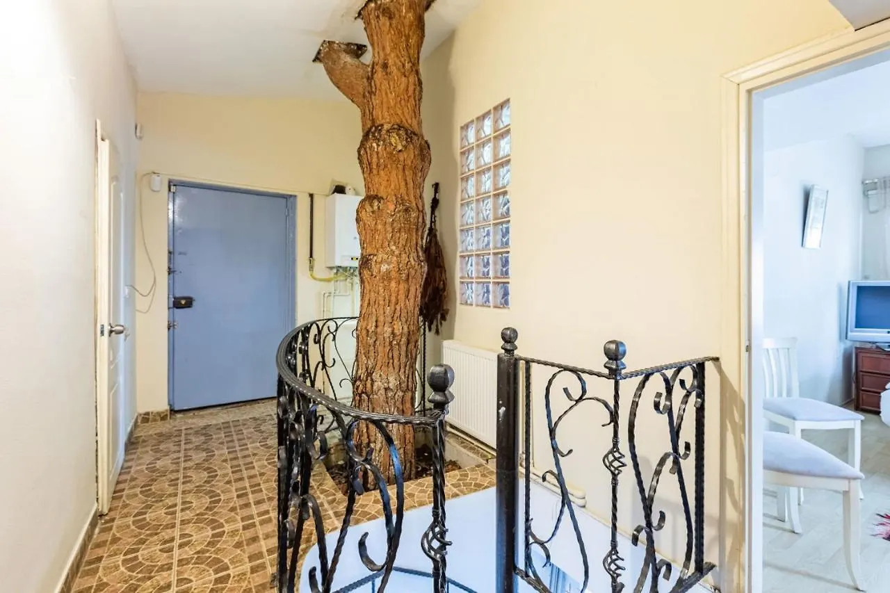 Willa Unique House With Tree Inside Near Sea In Maltepe Stambuł